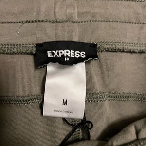 Express olive sweatpants size medium men’s